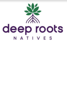 Deep Roots Natives logo
