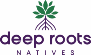 Deep Roots Natives logo